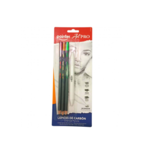 Pointer Art-Pro Estuche de lápices de carbón 2