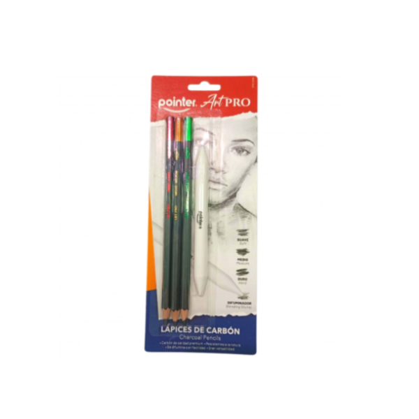 Pointer Art-Pro Estuche de lápices de carbón 2